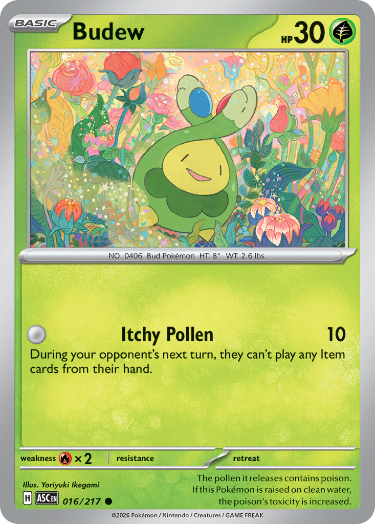 Budew - Ascended Heroes #016/217